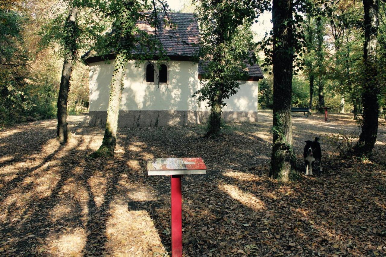Hébergement de vacances Maison Alsace Illfurth